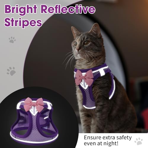 Cat Harness and Leash Set, Escape Proof Kitten Harness Purple XS | Safe Reflective Strips, Adjustable Easy Wear Kitty Harness, Sturdy Clip Buckle, Breathable Mesh , for Kitty Puppy Bunny Walks - color: Purple, size: XS