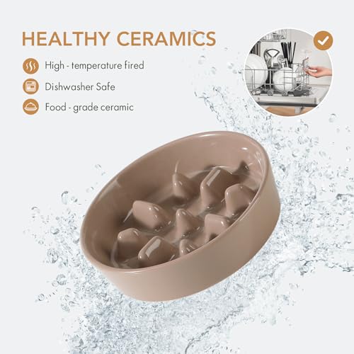 Havniva Elevated Slow Feeder Dog Bowls, Ceramic Dog Bowl Slow Feeder Set | 1.2 Cups Raised Slow Feeder Dog Bowl for Small Breed, 6.1” Dog Water Bowl with Wooden Stand, Puzzle Dog Food Bowl, Non-slip - color: Brown Coffee