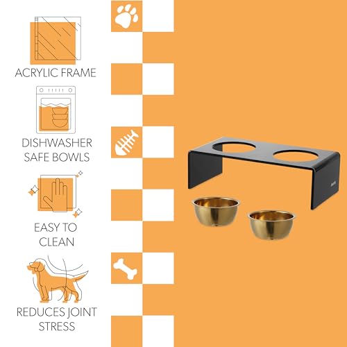 DBL2000B Keaton 5" Small/Medium Modern Lucite Rectangular Elevated Pet Feeder with 20oz 2-Stainless Steel Bowls, Black/Gold - color: Black/Gold, size: 20 Ounces (5" Cups 2-Pack)