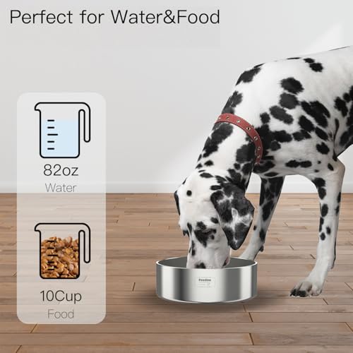 2L Double Layers 304 Stainless Steel Dog Bowl - Insulated & Durable | Non-Slip Base | Easy to Clean | BPA-Free Safe Dog Food and Water Bowl - color: 2L