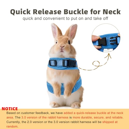 Breathable Bunny Harness and Leash Set with Cute Bow, Blue S | Adjustable Vest, Escape Proof, Quick-Release Buckle, for Rabbits, Kittens, Ferrets & Small Pets, Walking & Outdoor - color: Blue, size: S