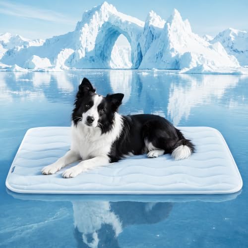 Dog Cooling Mat for Large Medium Dogs & Cats, Q-Max > 0.4 Breathable Self Cooling Pad, Washable Non Slip Bed for Crate, Car, Sofa, Floor, Indoor Outdoor Summer Use (Large: 28'' x 48'') - size: Large