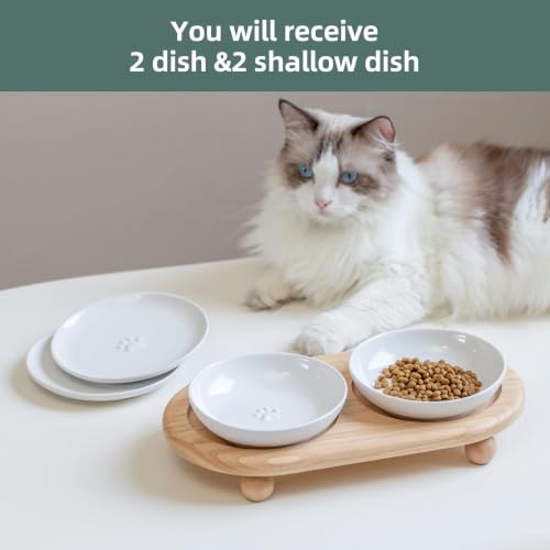 Havniva Elevated Cat Bowls, Cat Food and Water Bowl Set, Ceramic Cat Bowl | Raised Cat Food Bowls, Whisker Friendly, 5.6” Shallow Cat Dishes + 6” Wide Cat Plates, Non-Slip Wood Stand, Two Heights - color: White, size: 2 Bowls+2 Dishes
