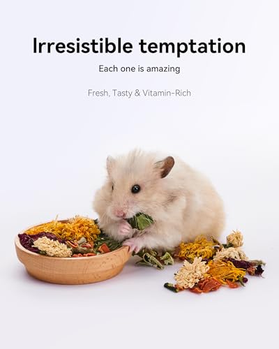 Niteangel Hamster Snack & Treats Toy: - Small Animal Natural Treat Mix for Dwarf Syrian Robo Hamsters Gerbils Mice Lemmings Degus or Other Small-Sized Pets (Vegetable Combo - 40g)