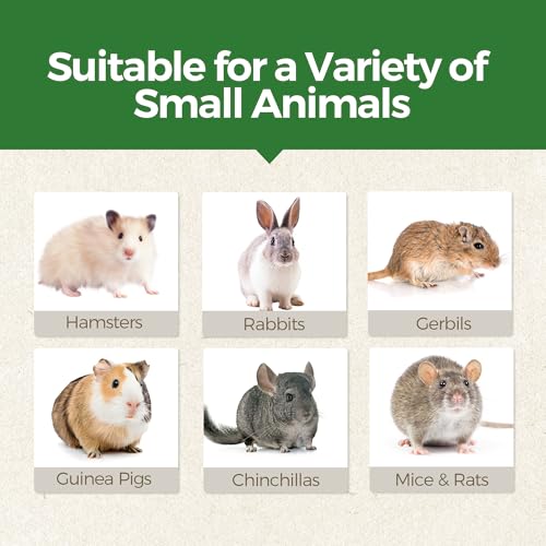 TEEWY Donut Guinea Pig Toys, Natural Vegetables, Fruits and Timothy, Hamster Chew Toys for Teeth, Gerbil Toys, Small Animal Chew Toys for Guinea Pig, Hamster, Chinchilla and Rat, 2PCS - style: 2PCS-Donut