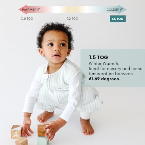 Dreamsuit Walker Toddler Sleep Sack with Feet and Legs, 3T-4T | 70% Rayon Made from Bamboo, 30% Organic Cotton, 0.8 TOG Summer, 2-Way Zipper, Buttery Soft Wearable Blanket, Cactus - color: (1.5 Tog) Stripes, size: 3-4T