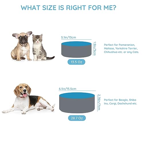 SPUNKYJUNKY 13.5OZ Ceramic Dog and Cat Bowl, Modern Cute Weighted Food Water Bowl for Replacement Blue-Grey (1 Pack) - color: Blue-grey, size: 1.7 CUPS