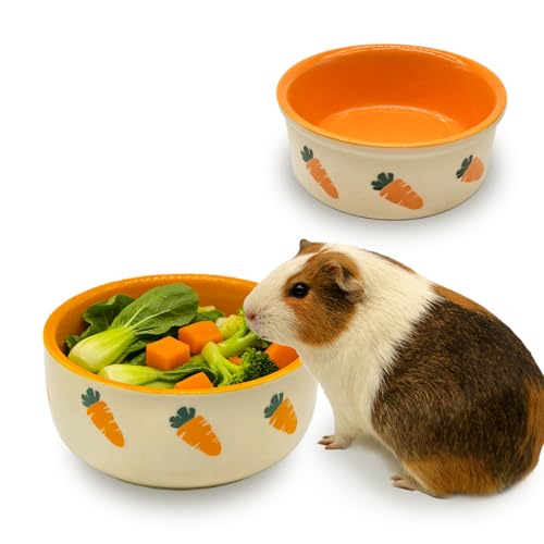 kathson 2 Pcs Hamtser Food Bowl, Guinea Pig Food Bowls, Ceramic Pet Bowl Small Animals Anti-Turning Water Bowls for Bunny Chinchilla Rat Hedgehog - size: XL