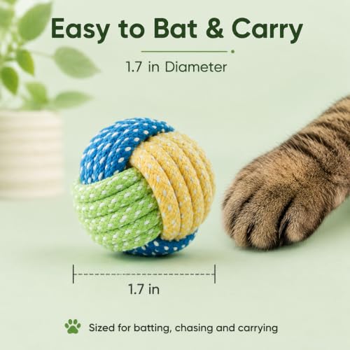 No Catnip Cat Toy Balls, 6 Pack Crinkle Chew Toys for Indoor Cats (Lime) - color: Lime
