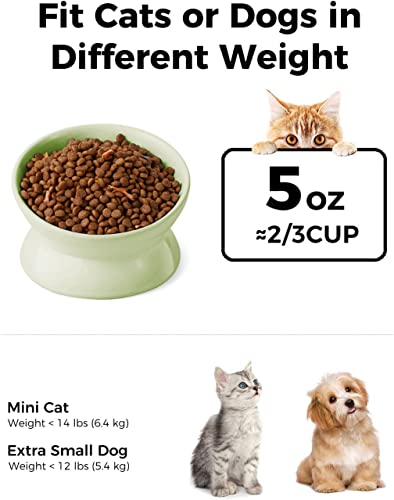LoeJan Elevated Cat Food Bowl, 5 Oz Ceramic Raised and Tilted Water Bowl, Anti Vomiting and Protect Pets' Spines Dishes for Small Dog, Fat Faced Cat, Kitten (Green, 1 Pack) - color: Green