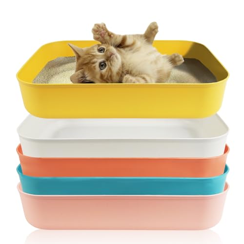 5PCS Small Litter Box, Plastic Kitten Litter Box, 13.9 x 9.8 x 3 Inch Open Litter Box for Small Pet, Easy to Clean (5 Color) - color: 5 Color