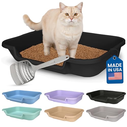KittyGoHere Senior Cat Litter Box, Large with Jumbo Scoop, Black | Open Top Low Entrance Kitty Litter Box With Long-handle Jumbo Scoop, Lightweight Low Entry Litters Box, Durable, Made in USA - color: Black, size: Large with Scoop