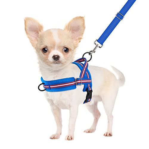 SlowTon No Pull Small Dog Harness and Leash Set with Front Clip | Soft Padded, Neck & Chest Adjustable, Lightweight, Anti-Twist, Puppy Vest Harness Pet Lead Combo for Small Medium Dog, DBL XS - color: Dark Blue, size: X-Small