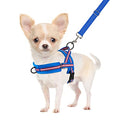 SlowTon No Pull Small Dog Harness and Leash Set with Front Clip | Soft Padded, Neck & Chest Adjustable, Lightweight, Anti-Twist, Puppy Vest Harness Pet Lead Combo for Small Medium Dog, DBL XS - color: Dark Blue, size: X-Small