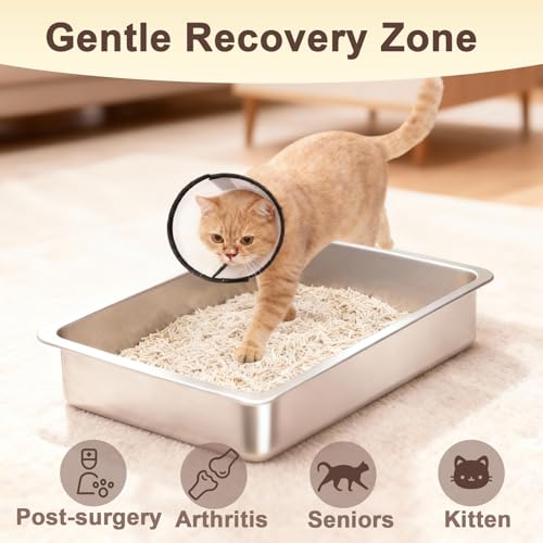 Low Entry Stainless Steel Litter Box for Kitten, Small Shallow Metal Litter Pan Tray for Rabbits Hamsters, Easy to Clean Pet Bathroom Accessories-15.75''Lx 11.81'' W x4'' H - color: 15.75''Lx 11.81'' W x4'' H