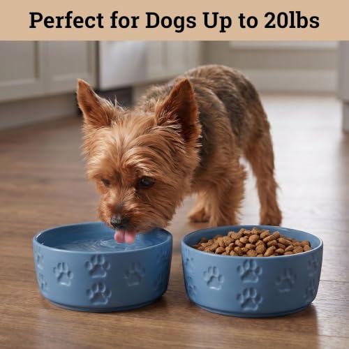 Ceramic Dog Bowl Set of 2 with Anti-Skid Base, 5.5"W x 2"H, 2 Cup Capacity | Thick Ceramic, Dishwasher Safe, Anti-Skid Rubber Base, 2 Cups per Bowl, Ceramic Food and Water Bowls Set of 2 for Small Dogs - color: Blue, size: Small