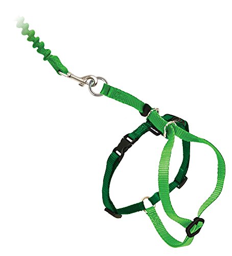 PetSafe Come with Me Kitty Harness and Bungee Leash, Large, Lime - color: Lime, size: Large (Pack of 1)