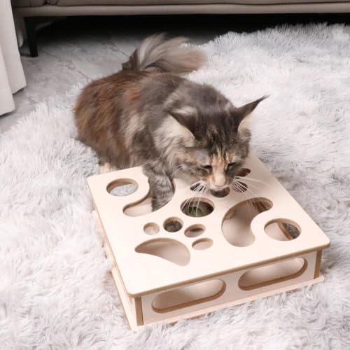 Natural Wood Cat Interactive Box Puzzle Hunting Exercise Toy