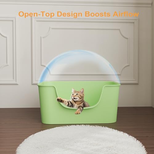Low Entry Cat Litter Box with High Sides - Open-Top Anti-Splash, Durable Easy-Clean Pan for Kittens, Munchkin Cats, Senior Medium-Sized Cats & Small Pets (Rabbits), 19.3”x13.3”x7.8” Green
