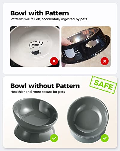 LoeJan Elevated Cat Food Bowl, 5 Oz Ceramic Raised and Tilted Water Bowl, Anti Vomiting and Protect Pets' Spines Dishes for Small Dog, Fat Faced Cat, Kitten (Gray, 1 Pack) - color: Gray