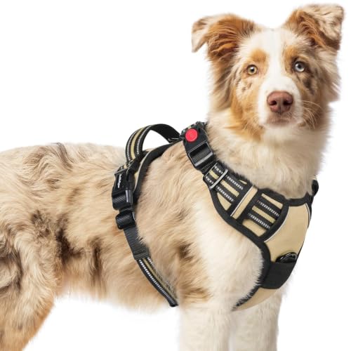 rabbitgoo Dog Harness Medium Sized, Updated Easy On & Off with 3 Buckles | No Pull No Choke, Walking with 2 Clips and Handle, Adjustable Soft Reflective, Beige, Medium - color: Beige, size: Medium