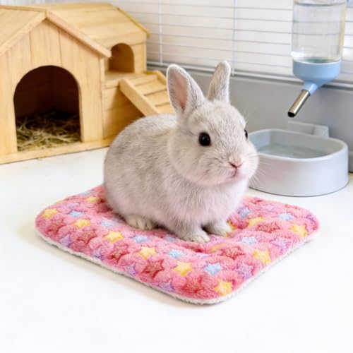 Guinea Pig Bed, 2 Pack (12x10 Inch) Soft Plush Small Animal Bed Mat, Washable Bedding Blanket Sleeping Warm Pad for Bunny, Rat, Ferret, Chinchilla - color: Pink