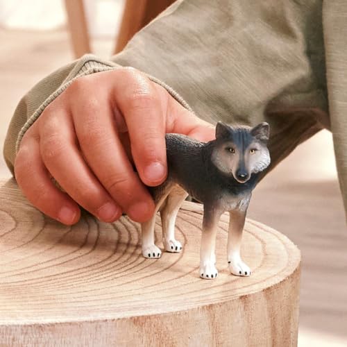 Schleich Wild Life - American Wolf Toy Figurine - Kids Ages 3+ | 14991 | Wild Animal Figurine, Realistic Animal Toys, Safari Toy for Boys and Girls, Screen-Free Imaginative Pretend Play, Montessori - style: American Wolf
