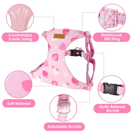 Lukovee Puppy Harness and Leash Set, No Pull, Lightweight Step in Vest | Adjustable, Soft Suede Vest, Easy Put on and off Pet Harness with Snap Buckle & 51in Leash for Small Medium Dogs (Pink-S,XXS) - color: Strawberry, size: XX-Small ( 2.2-6lb )