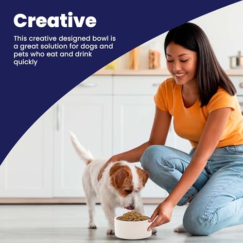 SPOT Ceramic Stoneware- Pet Bowl for Cats, Kittens and Mini Dogs, Classic Heavy Duty Non-Slip Ceramic Bowl for Food and Water -2.75in Diameter - size: 3"