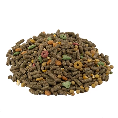 Wild Harvest Advanced Nutrition Guinea Pig, Complete And Balanced Diet, 8 Pounds - size: 8 Pound (Pack of 1)