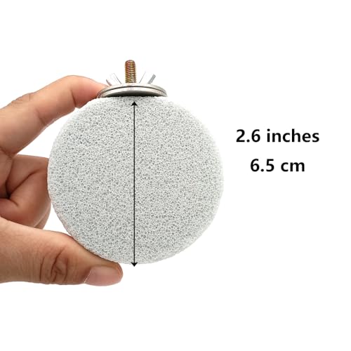 Shelltech Pumice Ledge Lava Ledge for Birds Chinchillas, Climbing Ledge Teeth Grinding Beak Grinding Block Perch Stand for Hamsters Chinchillas Parrots (Natural Color, S-Round 2 Pack) - size: S-Round 2 Pack