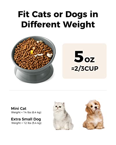 LoeJan Elevated Cat Food Bowl, 5 Oz Ceramic Raised and Tilted Water Bowl, Anti Vomiting and Protect Pets' Spines Dishes for Small Dog, Fat Faced Cat, Kitten (Gray, 1 Pack) - color: Gray