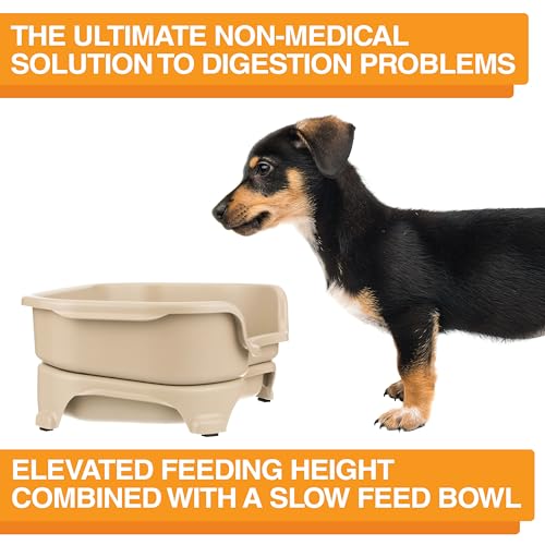 Neater Feeder Express Mess Proof Dog Bowls Elevated for Small Breed – Made in USA – No Spill Raised Slow Feeder Elevated Dog Bowl Stand, Stainless Steel Food and Water Bowl Set, Almond - color: Almond, size: Small w/ Metal Slow Feed Bowl