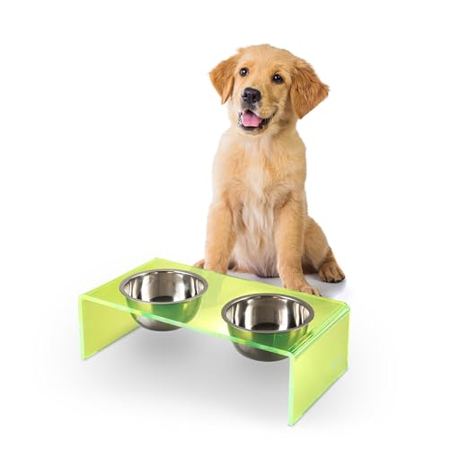 DBL2000G Keaton 5" Small/Medium Modern Acrylic Rectangular Elevated Pet Feeder with 20oz 2-Stainless Steel Bowls, Green/Chrome - color: Green/Chrome, size: 20 Ounces (5" Cups 2-Pack)