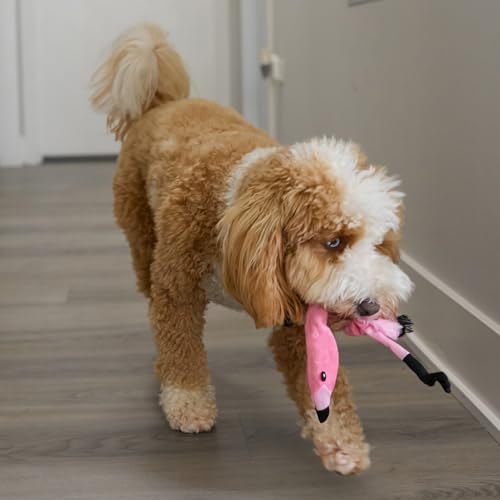 SPOT Skinneeez Flamingo 13 Inch Stuffing-Free Plush Squeaky Dog Toy – Soft Interactive Chew Toy for Small and Medium Dogs – Mess-Free Play for Light & Moderate Chewers - style: Mini Flamingo