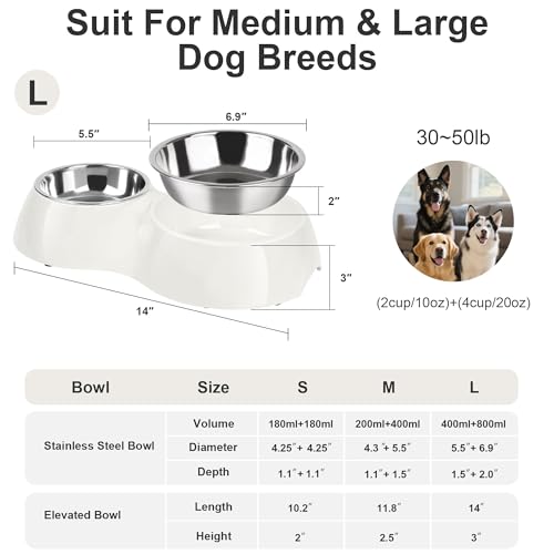 Elevated Dog Bowls Set - Non-Slip Raised Pet Feeder with Medium (10 oz) & Large (20 oz) Stainless Steel Bowls - Includes Durable Resin Stand for Corgi Puppies and Adult Cats - White - color: White, size: Large