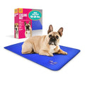 Arf Pets Dog Self Cooling Pet Bed Solid Gel Based | Durable & Non-Toxic | Includes a Foam Based Bolster Bed for Extra Comfort | Pressure-Activated | No Water, Electricity, or Refrigeration Needed - size: 20 x 30