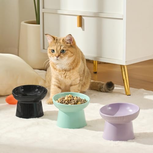 Ceramic Elevated Cat Bowls-Water Bowl, 15° Tilted Design, Anti-Vomiting & Spine Protection, Prevent Whisker Fatigue for Kittens to Adult Cats and Small Dogs (Green-Elevated Cat Bowls-2) - color: Green-Elevated Cat Bowls-2