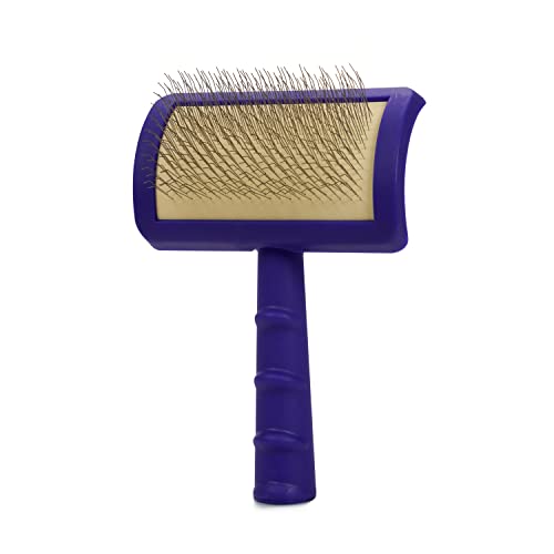 Jelly Pet Universal Slicker Brush for Dogs, Dog Grooming Brush, Remove Tangles and Dead Undercoat, Tuffer Than Tangles Maltese Shi-Tzu Poodle Bichon, Soft Pins, Purple, Small - color: Purple, size: Small (2.5 in x 4 in) - Pins (Soft)