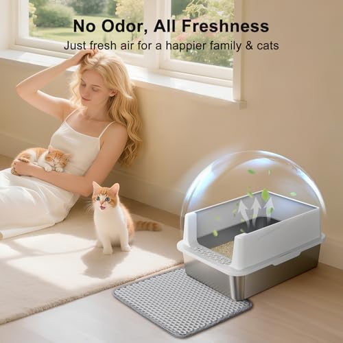 FURTIME Stainless Steel Cat Litter Box, Small Cats Metal Litter Box | High-Sided Open-Top Easy-Clean Litter Pan, Non-Stick, Anti-Leakage, Odor-Free, Comes with Scoop & Mat, 17"×13"×8.4" - color: Silver, size: Small
