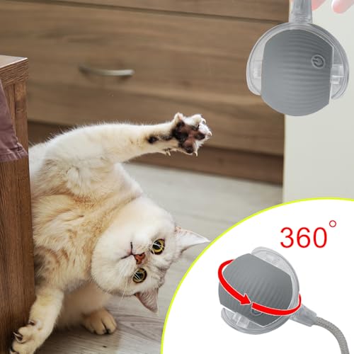 Interactive Cat Dog Toy Ball with LED Light, Automatic Rolling(Grey) | String Tail and LED Light Design, Motion Activated, Suitable for Interactive Indoor Pet Play and Exercise - color: Grey