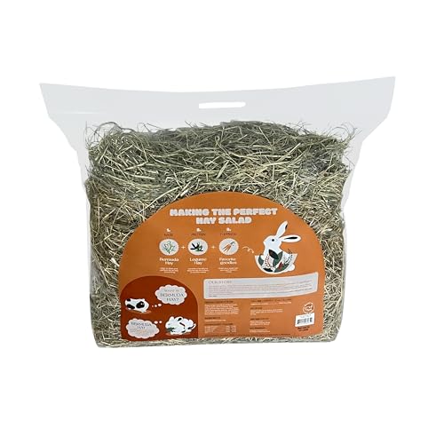 Bermuda Hay – High-Fiber, Low-Calcium Coastal Grass for Rabbits, Guinea Pigs & Small Pets – All-Natural, Hand-Packed, Timothy-Allergy Friendly (40 oz) - size: 2.5 Pound (Pack of 1)