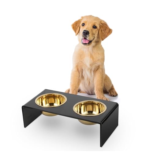 DBL2000B Keaton 5" Small/Medium Modern Lucite Rectangular Elevated Pet Feeder with 20oz 2-Stainless Steel Bowls, Black/Gold - color: Black/Gold, size: 20 Ounces (5" Cups 2-Pack)