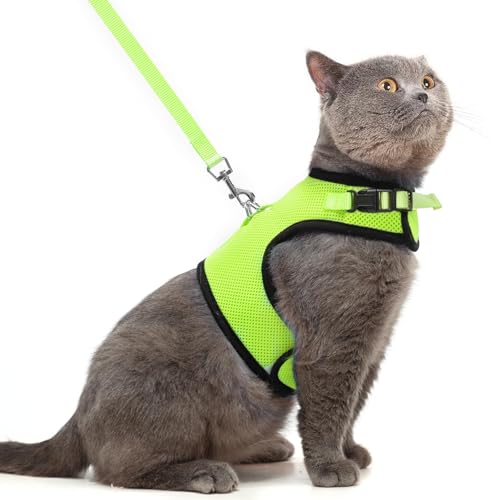 PUPTECK Soft Mesh Cat Vest Harness and Leash Set Puppy Padded Pet Harnesses Escape Proof for Cats Small Dogs Rabbits Bunny - color: Fluorescent Green, size: L(NECK 8.5"-10.5", CHEST 12.5"-15", 6-10 lbs)