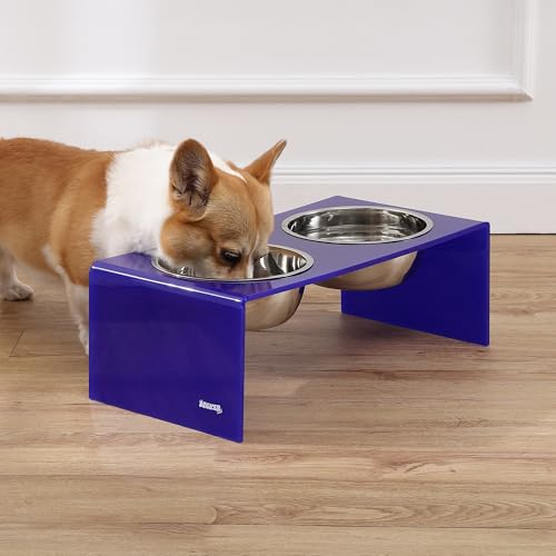 DBL2001F Keaton 7.5" Medium/Large Modern Acrylic Rectangular Elevated Pet Feeder with 54oz 2-Stainless Steel Bowls, Purple/Chrome - color: Purple/Chrome, size: 54 Ounces (7.5" Cups 2-Pack)