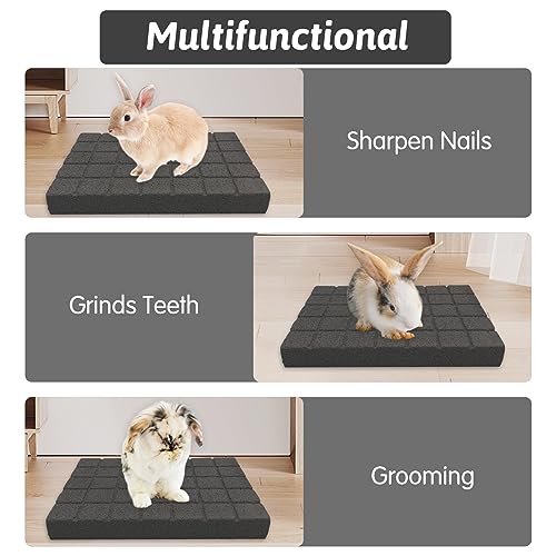 Hamiledyi Rabbit Scratch Foot Pads Bunny Grinding Claw Pad 4 PCS Small Animal Lava Grinding Teeth Stone Hamster Grinding Teeth Block for Guinea Pig Rat Gerbil Chinchilla Hedgehog - color: Black-4PCS