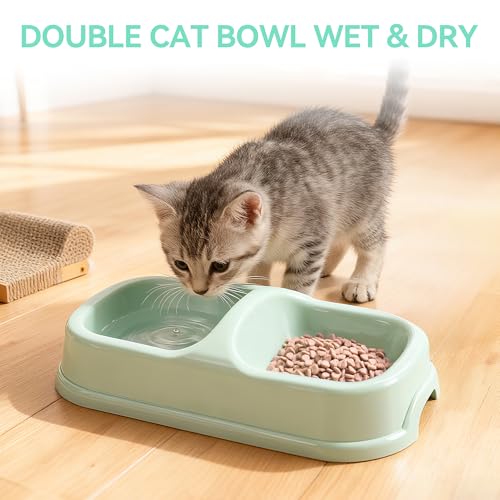PAWISE Cat Litter Box Set, Small Kitten Starter Kit, Includes Litter Box, Litter Scoop, Double Dish Feeding Bowl, Cat Mouse Toy, Kitty Ball Toy, Green - color: Green