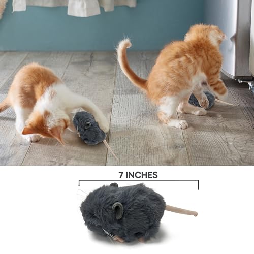 Vaulted Skulls & Co Mouse Dog Toy 7" | Mouse Stuffed Animal Small | Fluffy Mouses Small Dog Toy | Cat Mouse Toy | Small Mouses Plush Dog Toy | Mouse Toy for Cats | Squeaker-Free | Gray | 7" - size: Mouse