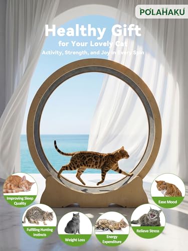 Cat Wheel for Indoor Cats, 48 Inch Diameter Exercise Running Wheel | Enhanced Base, Safety Lock, Quiet, For Cat's Longer Life Fitness, Wide Surface, Low-Entry Design, Easy Assembly, Natural Wood - color: Natural