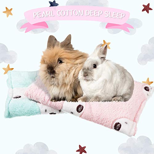 Jetec 2 Pieces Guinea Pig Bed Rabbit Bed Warm Small Animal Hamster Bunny Mats Winter Warm for Bunny Hamster Squirrel Hedgehog Chinchilla Small Animal Accessories(Green, Pink,Bear Pattern) - color: Green, Pink